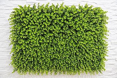 前任天堂北美总裁：《动物森友会》可做成区块链游戏